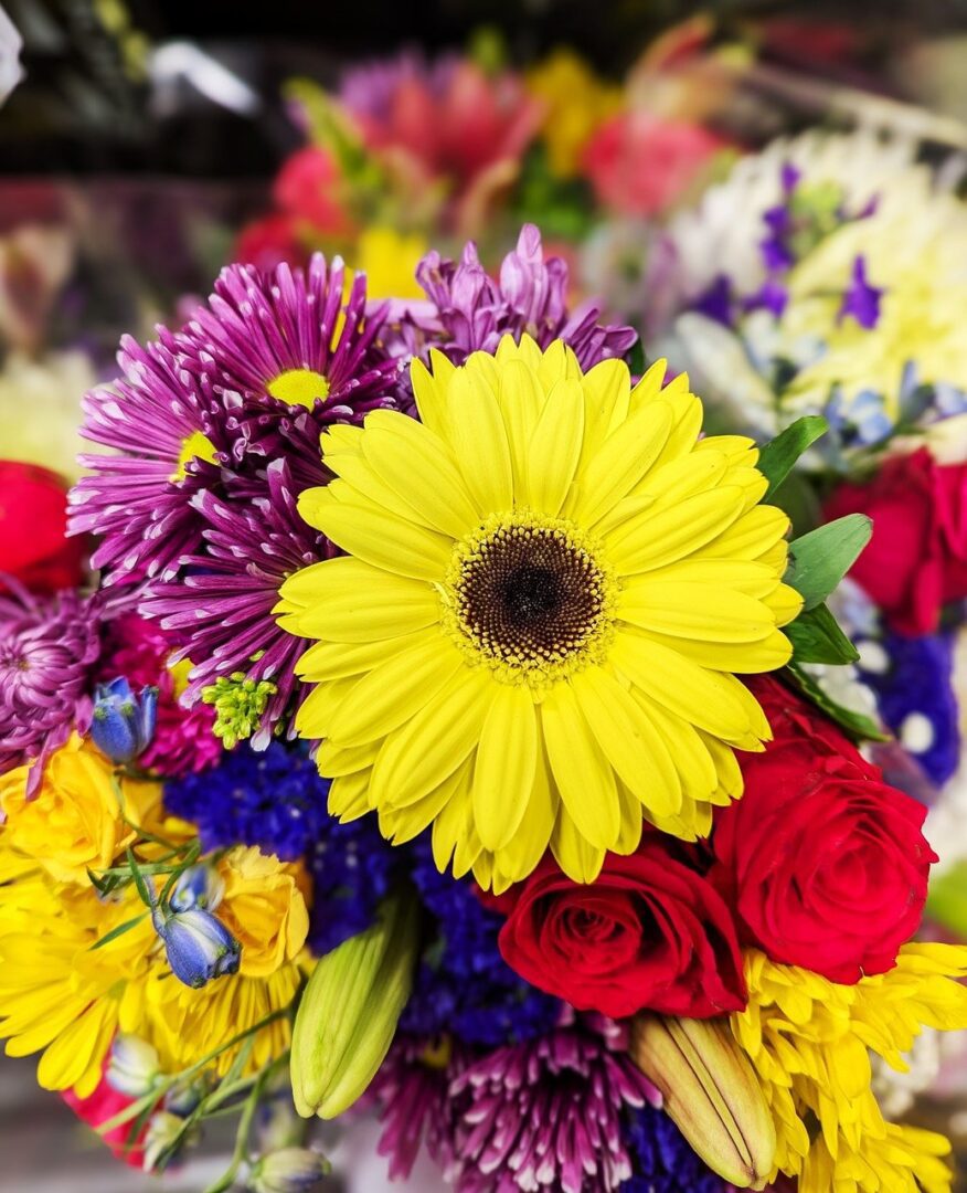 insula lui marlon brando