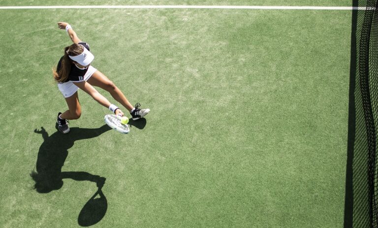 sotia lui ilie nastase