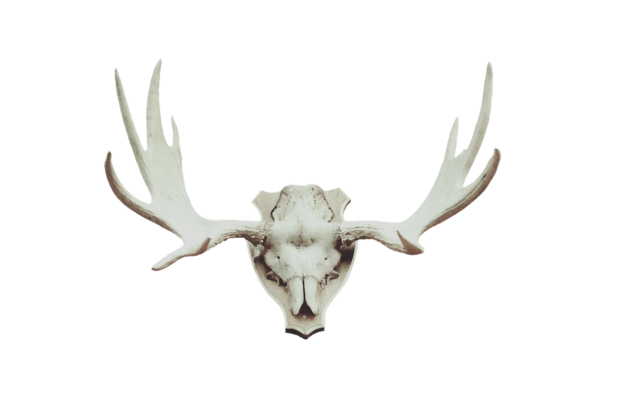 ce premii a castigat leonardo dicaprio