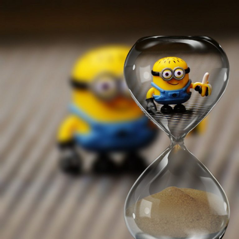 tinute pentru minione plinute