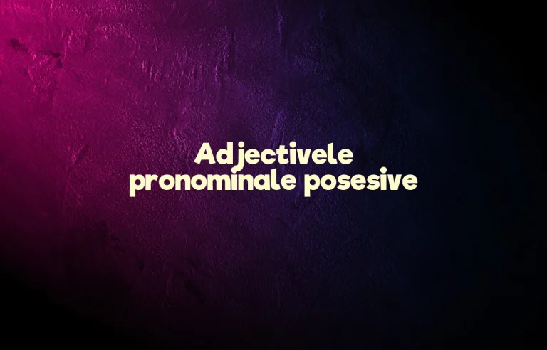 adjective pronominale posesive