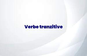 verbe tranzitive