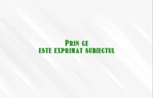 prin ce este exprimat subiectul