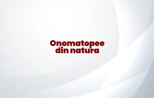 onomatopee din natura