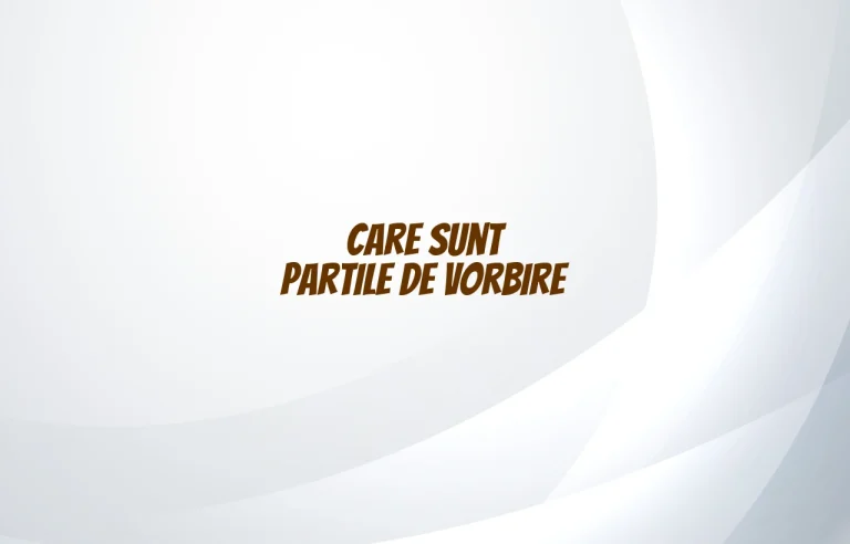 care sunt partile de vorbire