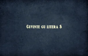 cuvinte cu litera s