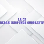 la ce intrebari raspunde substantivul