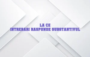 la ce intrebari raspunde substantivul