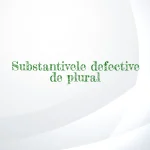 substantive defective de plural